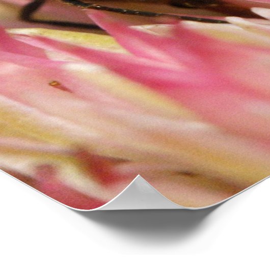 Westerne honingbijenmacro poster (Hoek)