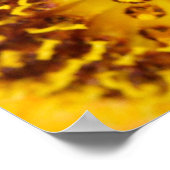 Westerne honingbijenmacro poster (Hoek)