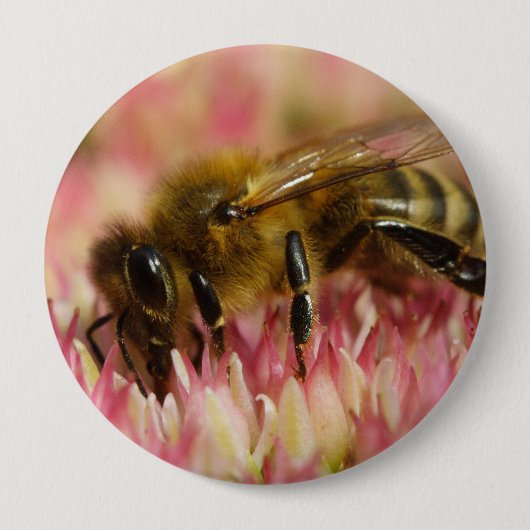Westerne honingbijenmacro ronde button 4,0 cm (Voorkant)