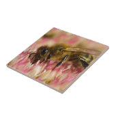 Westerne honingbijenmacro tegeltje (Zijkant)