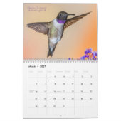 Westerne Hummingvogels Fotografie Kalender (Mar 2027)