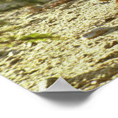 Westerne jachalope poster (Hoek)