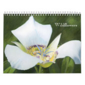 Westerne kalender voor CO-Wildflesonttrekken (Hoes)