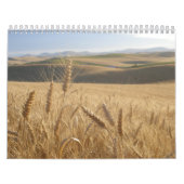 Westerne kalender voor herstel (Hoes)