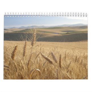 Westerne kalender voor herstel