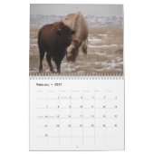 Westerne Kansas Buffalo Kalender (Feb 2027)