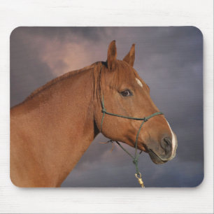 Westerne kastanjebruine paarden muismat
