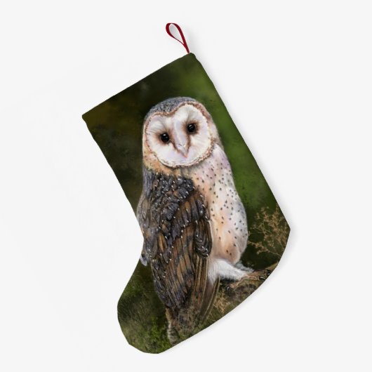 Westerne kerststop voor Barn Owl Kleine Kerstsok