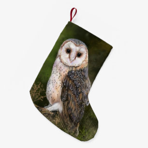 Westerne kerststop voor Barn Owl Kleine Kerstsok