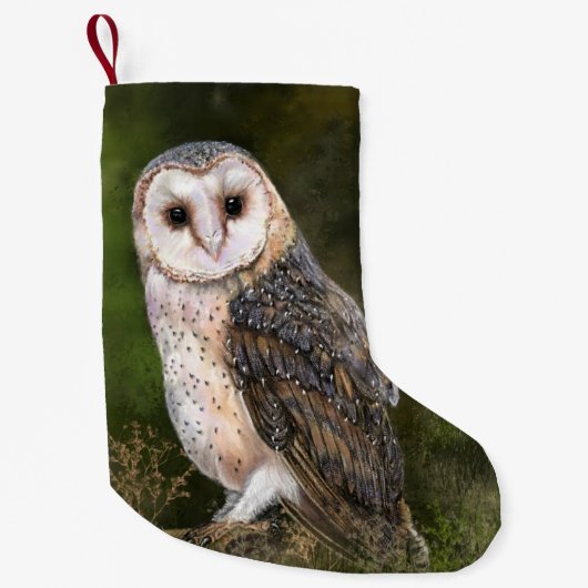 Westerne kerststop voor Barn Owl Kleine Kerstsok (Voorkant)