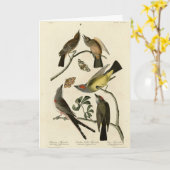 Westerne Kingbird, enz. - Amerikaanse vogels van A Kaart (Gele Bloem)