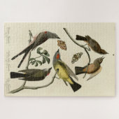 Westerne Kingbird, enz. - Amerikaanse vogels van A Legpuzzel (Horizontaal)