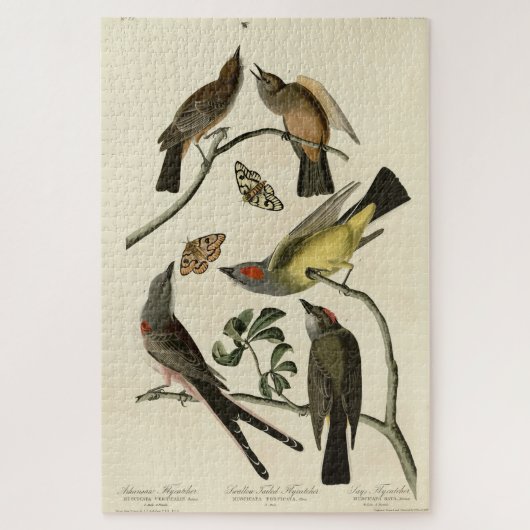 Westerne Kingbird, enz. - Amerikaanse vogels van A Legpuzzel (Verticaal)