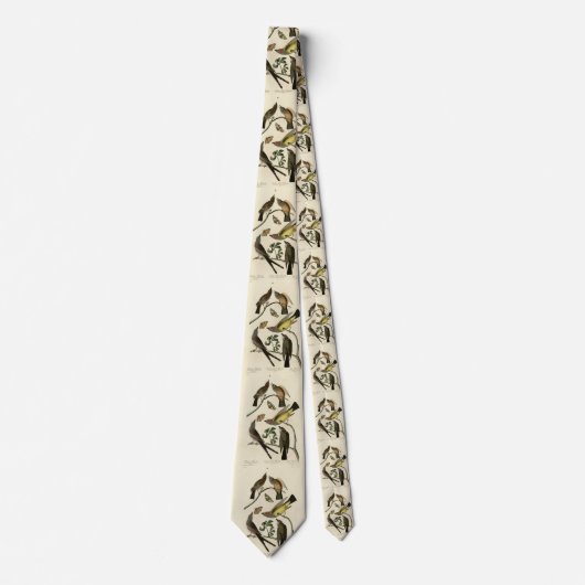 Westerne Kingbird, enz. - Amerikaanse vogels van A Stropdas (Voorkant)