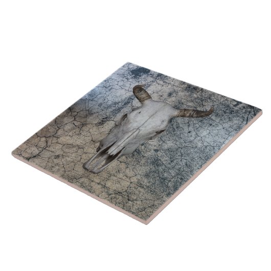 Westerne Koe Rundle Tegeltje (Zijkant)