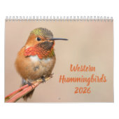 Westerne kolibrie fotografie kalender (Hoes)