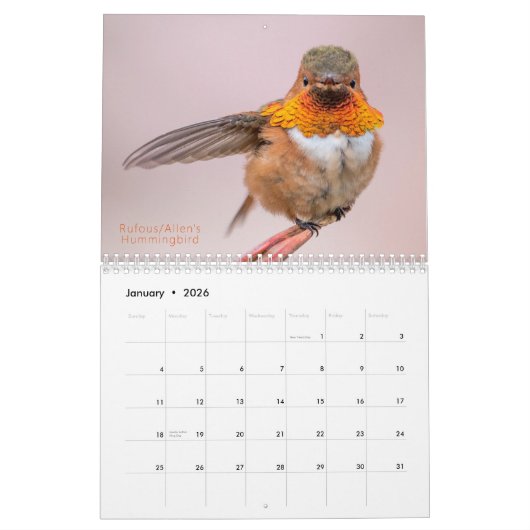 Westerne kolibrie fotografie kalender (Jan 2026)