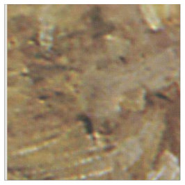 Westerne kooktroebels Russell-Lg afdrukken Stof