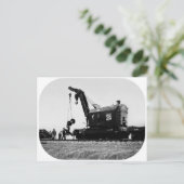 Westerne kraan met grote boomstam # 50032 briefkaart (Staand voorkant)