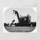 Westerne kraan met grote boomstam # 50032 briefkaart (Voorkant)