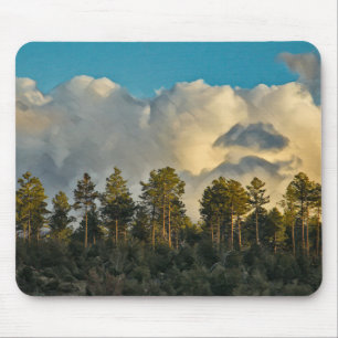 WESTERNE LANDSCHAPS MUISMAT