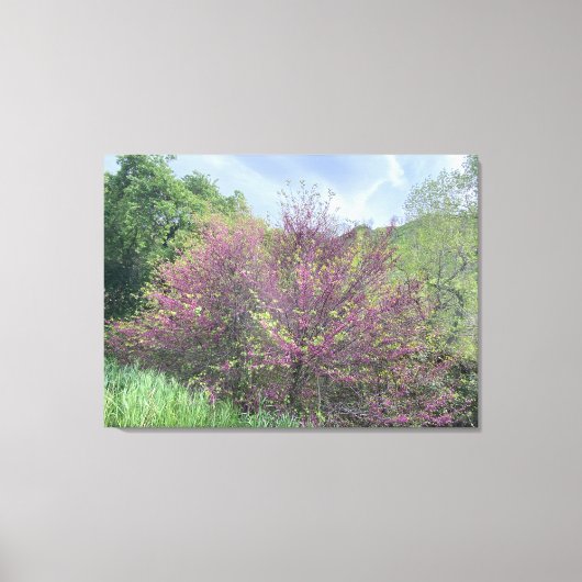 Westerne lente canvas afdruk (Voorkant)