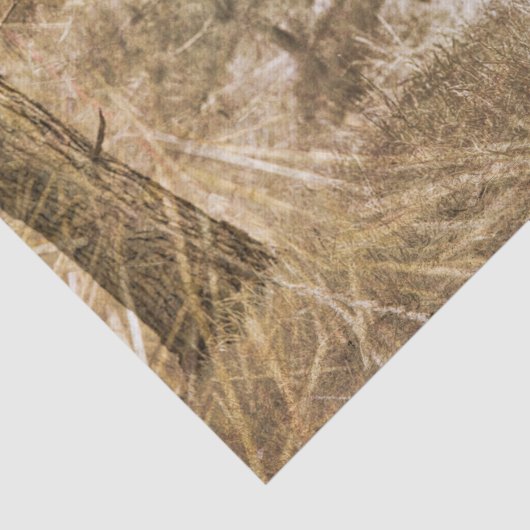 Westerne Longhorn Bull Tissuepapier (Detail)