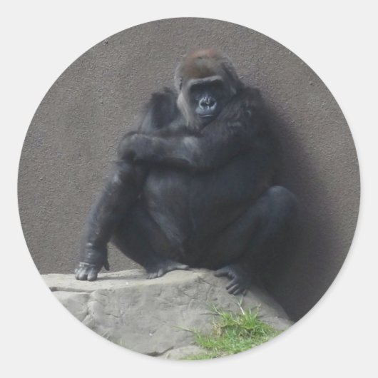 Westerne Lowland Gorilla #2 Stickers (Voorkant)