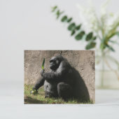 Westerne Lowland Gorilla Briefkaart (Staand voorkant)
