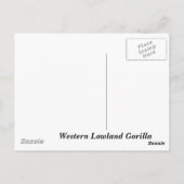 Westerne Lowland Gorilla Briefkaart (Achterkant)