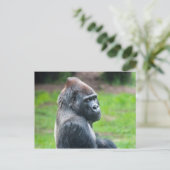 Westerne Lowland Gorilla Briefkaart (Staand voorkant)