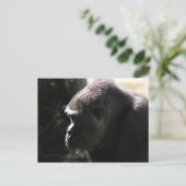 Westerne Lowland Gorilla Briefkaart (Staand voorkant)