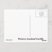 Westerne Lowland Gorilla Briefkaart (Achterkant)