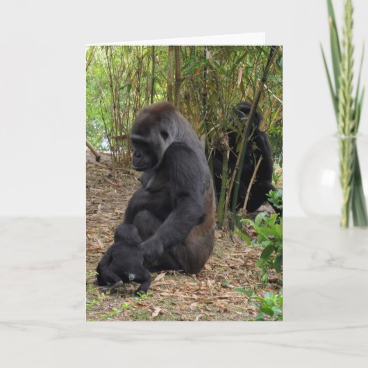 Westerne Lowland Gorilla - Mam en Baby Kaart (Voorkant)