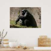 Westerne Lowland Gorilla Poster (Keuken)