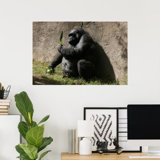 Westerne Lowland Gorilla Poster (Thuiskantoor)