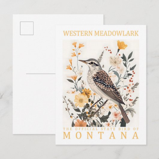 Westerne Meadowlark Bird of Montana Verenigde Stat Briefkaart (Voorkant / Achterkant)