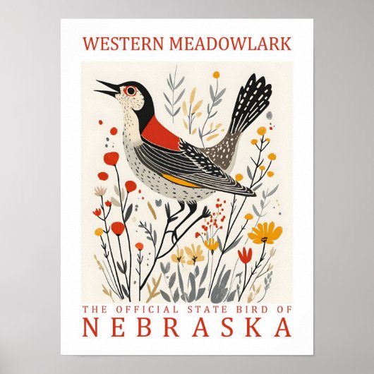 Westerne Meadowlark Bird of Nebraska Verenigde Sta Poster (Voorkant)