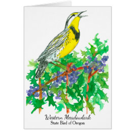 Westerne Meadowlark Bird Oregon druif