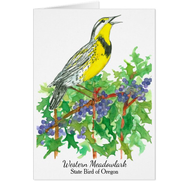 Westerne Meadowlark Bird Oregon druif (Voorkant)