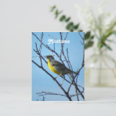 Westerne Meadowlark Briefkaart (Staand voorkant)