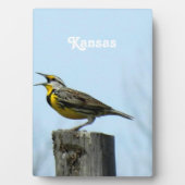 Westerne Meadowlark Fotoplaat (voorkant)