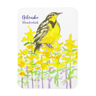 Westerne meadowlark Goldenrod Yellow Wilde Magneet
