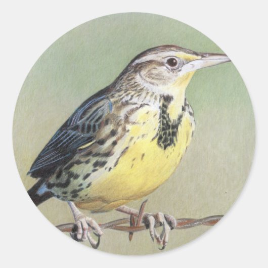 Westerne Meadowlark Ronde Sticker (Voorkant)