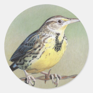 Westerne Meadowlark Ronde Sticker