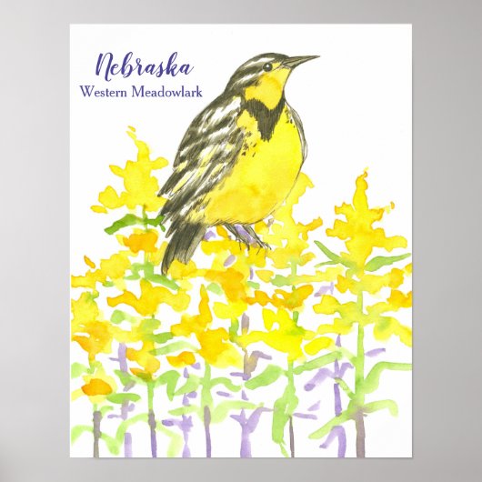 Westerne Meadowlark (staatsvogel) van Nebraska Poster (Voorkant)