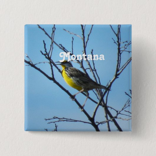 Westerne Meadowlark Vierkante Button 5,1 Cm (Voorkant)