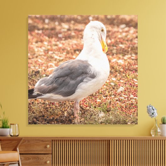 Westerne meeuw canvas afdruk (Insitu (Woonkamer))