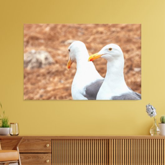 Westerne meeuwen canvas afdruk (Insitu (Woonkamer))