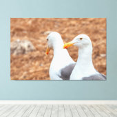 Westerne meeuwen canvas afdruk (Insitu (Houten vloer))
